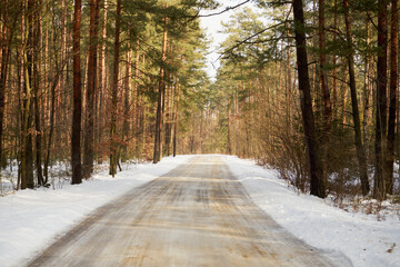 leśna zimowa ścieżka © Marcin Łazarczyk