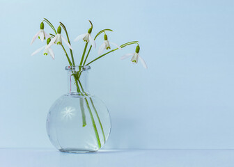Snowdrops Bouquet in vase