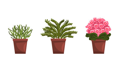 House Plants Set, Green Succulent and Blooming Plants for Interior Decoration Flat Vector Illustration