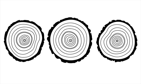 Hand drawn Collection of three saw cut tree trunk. Circular piece of wood cross section with tree ring texture pattern. Black outlines isolated on a white background. Conceptual graphics. Vector.
