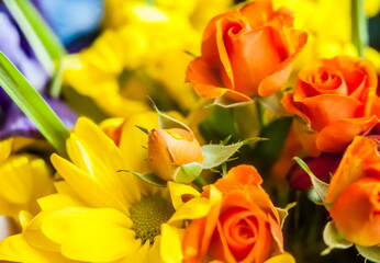 Bouquet of flowers closeup