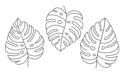 Hand-draw set of tropical monstera leaves. Exotic plant - Monstera Deliciosa. Black contours isolated on a white background. Vector stock illustration for cards, flyers, stickers, textile, web design. - obrazy, fototapety, plakaty