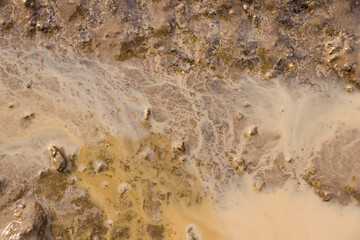 mud in a puddle top view