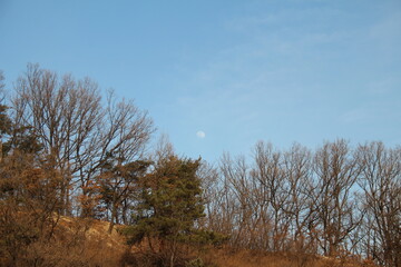 한국 산과 낮달의 어우러짐