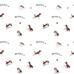 Cute beagle with ball and font. Watercolor. Pattern.