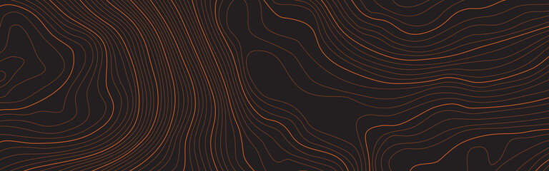 The stylized height of the topographic contour map in lines and contours. The concept of a conditional geography scheme and the terrain path. Vector illustration.