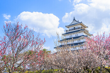 梅の花と島原城　長崎県島原市　Plum blossom and Shimabara castle Nagasaki-ken...