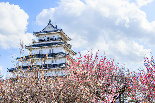 梅の花と島原城　長崎県島原市　Plum blossom and Shimabara castle Nagasaki-ken Shimabara city