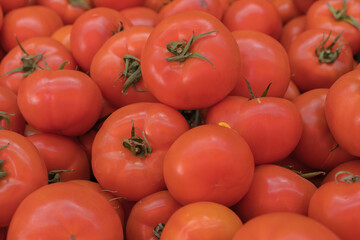 Delicious red tomatoes. Summer tray market agriculture farm full of organic vegetables It can be used as background.