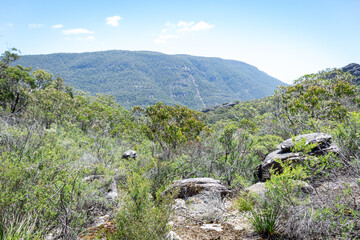 landscape in the mountains