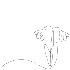 Snowdrop flowers background, vector illustration