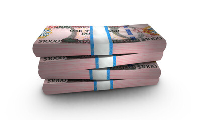 3D Stack Banknote of Guyana 1000 Dollars Money