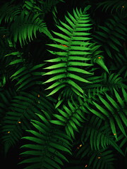 Naklejka na ściany i meble Close up of fern leaves nature background. Nature background of fern leaves. Fern leaves nature background. Nature. Close up background nature of fern tree leaves. Nature background. Fern plants.Tropi