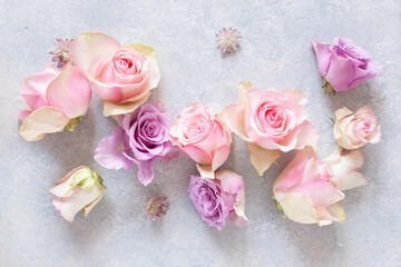 Obraz na płótnie Canvas beautiful pink rose flowers background