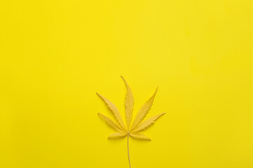 Cannabis leaf with lemon flavor. Fresh marijuana plant on yellow background. Hemp recreation, medical usage, legalization.