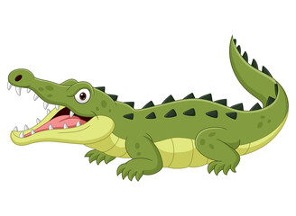 Cartoon crocodile isolated on white background 