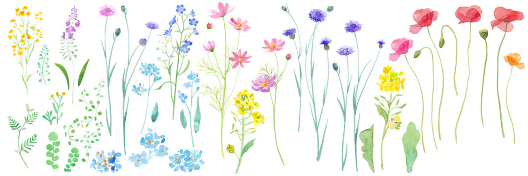 春の野原に咲く様々な花の水彩イラスト。水彩のトレースベクター。