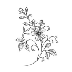 Original monochrome vector illustration of flowers in vintage style.