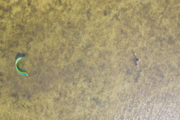 People swim in the sea on a kiteboard or kitesurfing. Summer sport learning how to kitesurf. Kite surfing on Puck bay in Jastarnia, Poland, Europe aerial drone photo