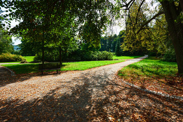 Colorful foliage in the autumn park
