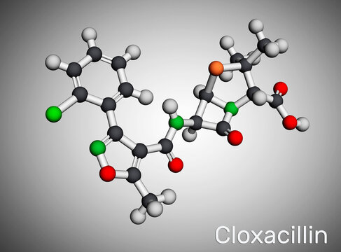 Cloxacillin molecule. It is antibacterial drug, semi-synthetic beta-lactamase resistant penicillin antibiotic. Molecular model. 3D rendering