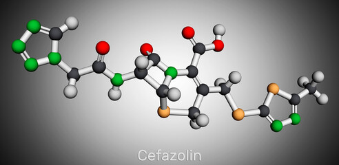 Cefazolin, cefazoline, cephazolin molecule. It is s beta-lactam antibiotic, first-generation cephalosporin. Molecular model. 3D rendering