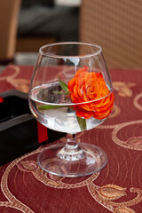 rose in a glass of water