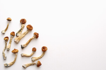 Microdosing concept. Dry psilocybin mushrooms on white background. Psychedelic, mind-blowing, magic...