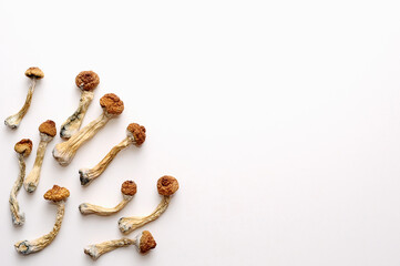 Microdosing concept. Dry psilocybin mushrooms on white background. Psychedelic, mind-blowing, magic mushroom. Medical use.