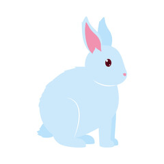 Fototapeta premium cute blue rabbit icon, colorful design
