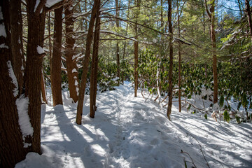 Foot trail through the deep snow