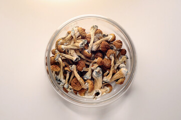 Microdosing concept. Dry psilocybin mushrooms in glass jar on white background. Psychedelic, mind-blowing, magic mushroom. Medical use.