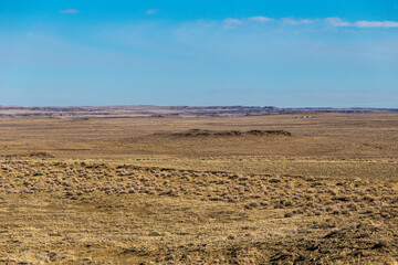 Fototapeta na wymiar Wide open high desert landscape with brush and clear skies in rural New Mexico on cold day