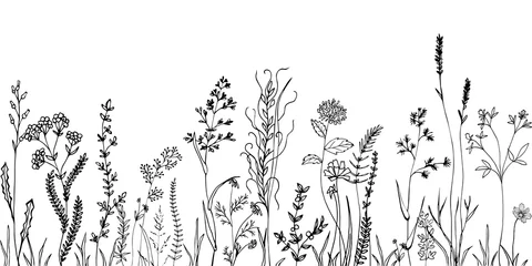 Skizzieren Sie Unkraut, Kräuter, Blumen und Getreide. Design von Trendelementen. © barberry