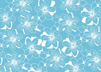Fototapeta na wymiar White flowers pattern on sky blue background