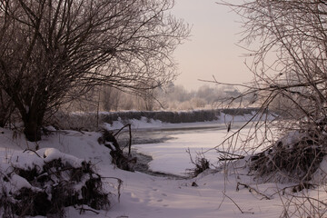 Morning winter landscape of a mountain river with trees covered with hoarfrost.