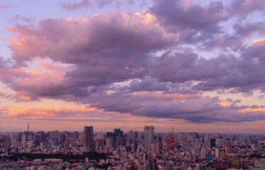東京　2020年　渋谷から望む大都会　夕暮れ