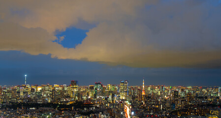Fototapeta premium 東京 渋谷から望む大都会 夜景