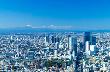 Fototapeta na wymiar 東京風景　富士山と渋谷