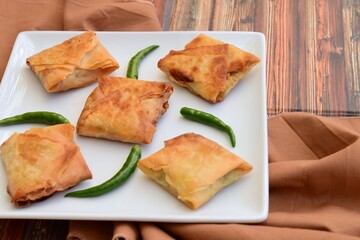 Homemade Martabak Telur, Indonesian cuisine. Pan-fried wrap filled with ground beef, egg and scallion. Served with green chilli Rawit