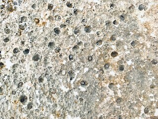 rock texture background closeup