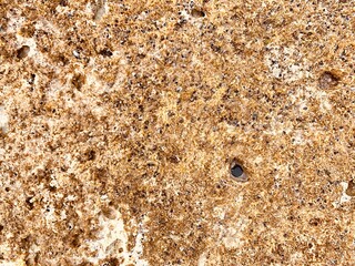rock texture background closeup