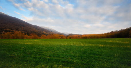 Obraz premium Morning spring landscape. View of the lawn and mountains. Light fog.