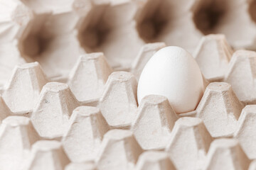 Cardboard container for eggs with one egg in a cell close-up.