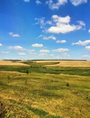 Fototapeta premium Yellow field, hills and blue sky