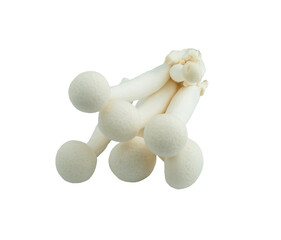 Shimeji Mushroom on white background, isolated