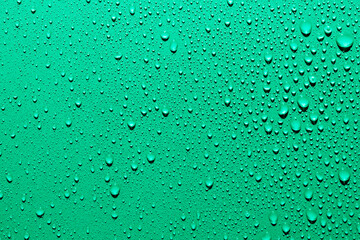 Water drops on green background, macro