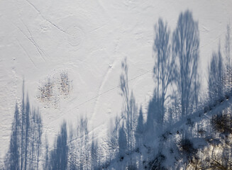 Top drone view of shadows of trees and footprints on white snow.
