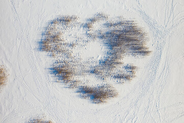 View from above of footprints and blue shadows of naked trees on snow