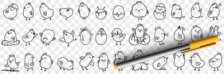 Small chicks on farm doodle set. Collection of hand drawn cute funny positive chicks eating hatching out of egg shell living in farmlands for children books isolated on transparent background © drawlab19